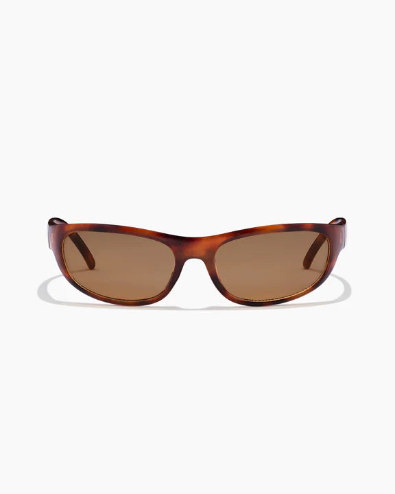 TRAFFIC ; MAPLE / TORTOISEHELL