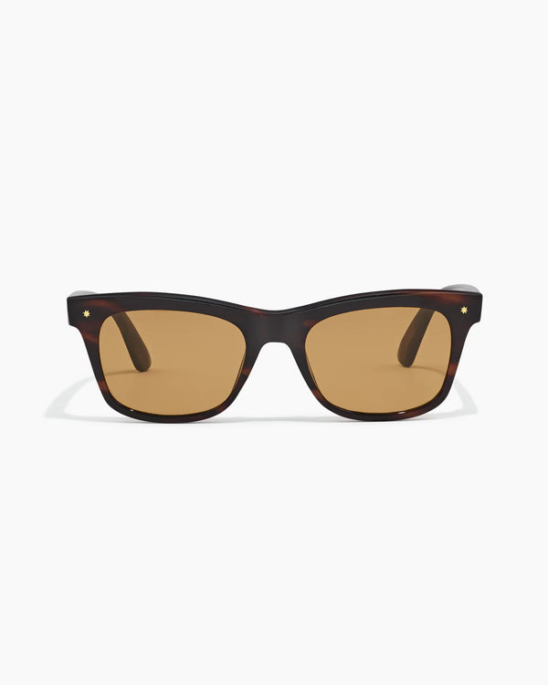 HARDY ; DESERT TORTOISE / HAZELNUT