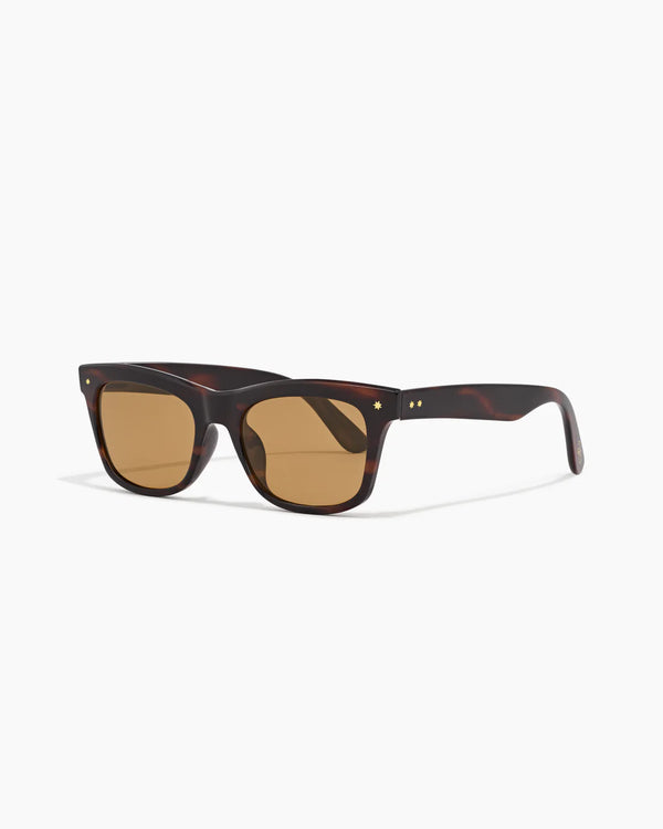 HARDY ; DESERT TORTOISE / HAZELNUT