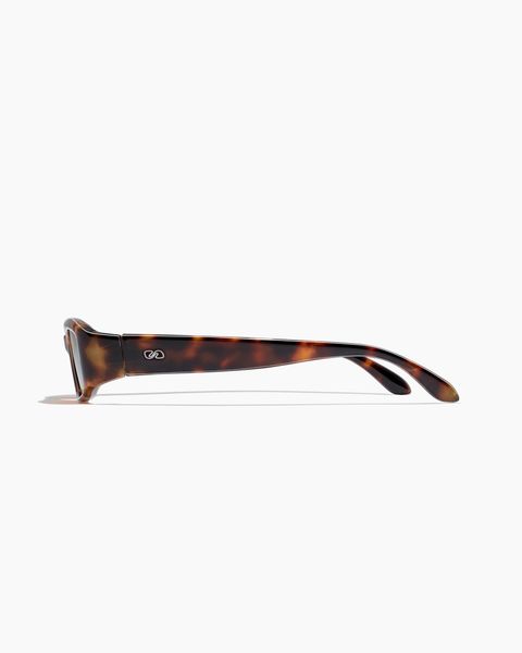 HART ; CAPE TORTOISE / CACAO
