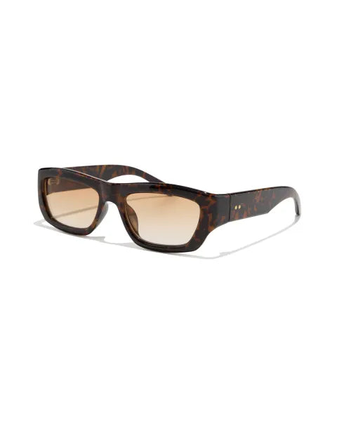 SPENCE ; TORTOISE / AMBER