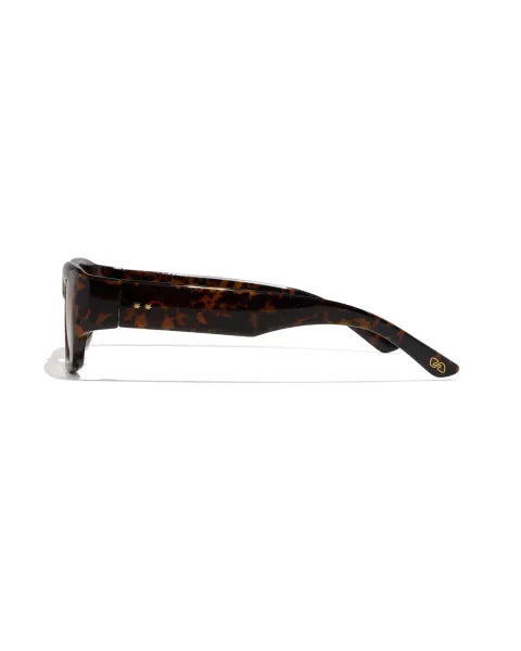 SPENCE ; TORTOISE / AMBER