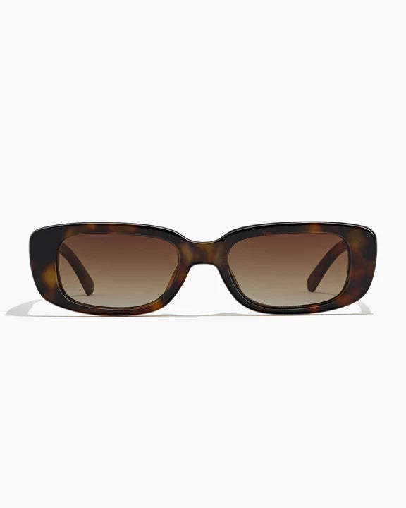 DOLLIN ; CAPE TORTOISE / DUNE