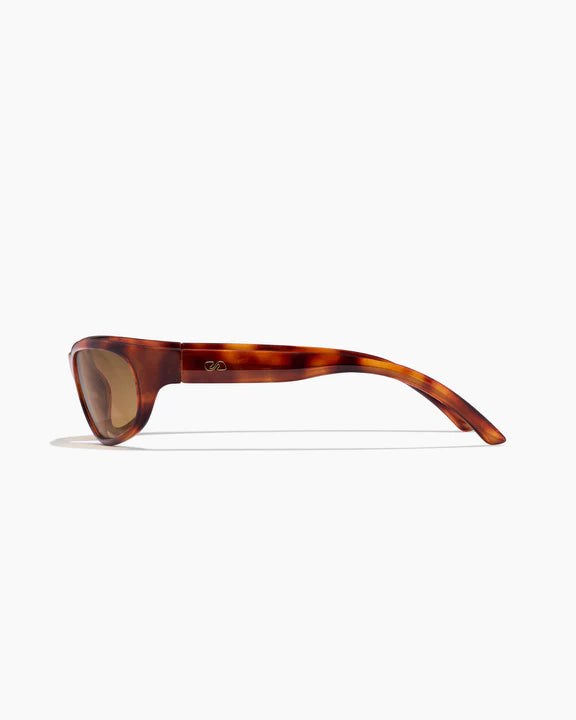 TRAFFIC ; MAPLE / TORTOISEHELL