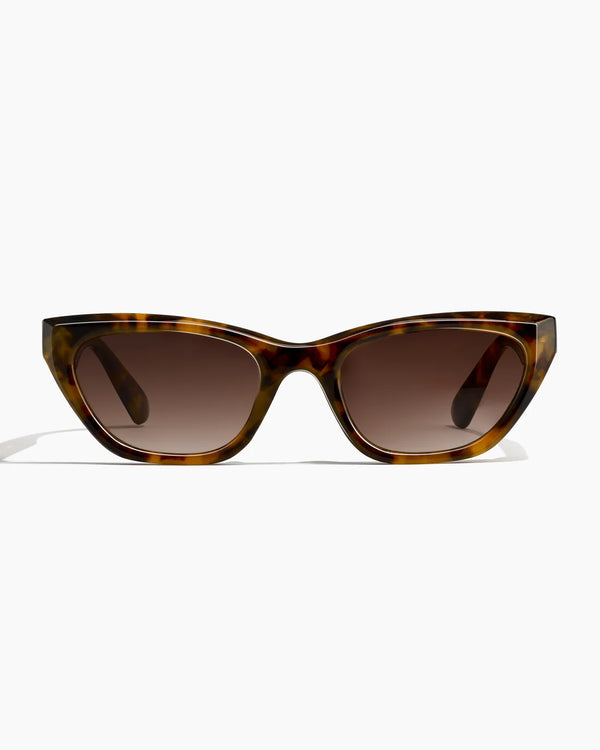 UPTOWN ; TORTOISE / SEPIA