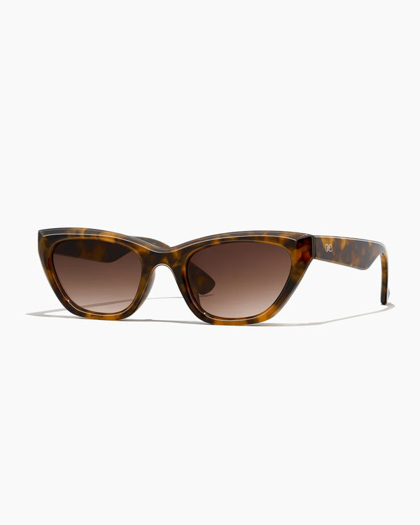 UPTOWN ; TORTOISE / SEPIA