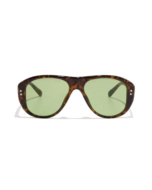 AUSTIN ; TORTOISE / LAWN