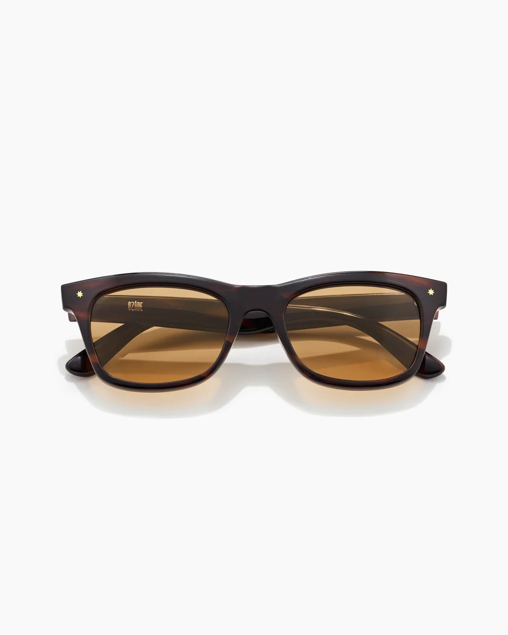 HARDY ; DESERT TORTOISE / HAZELNUT