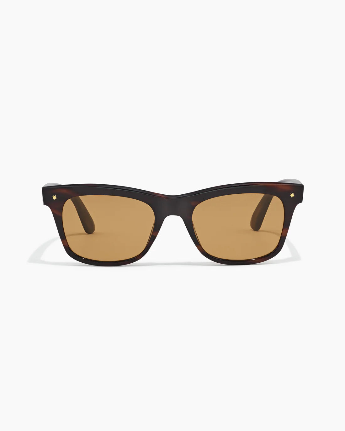 HARDY ; DESERT TORTOISE / HAZELNUT
