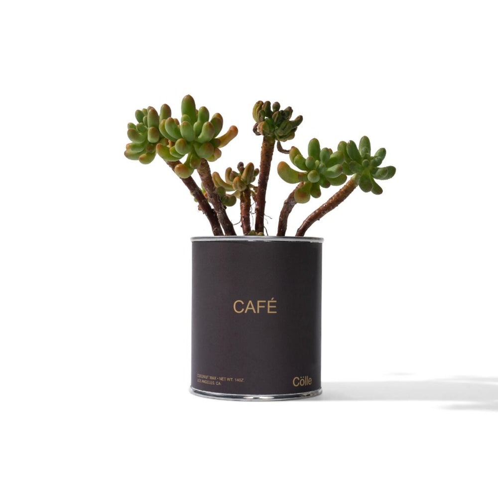 CAFÉ